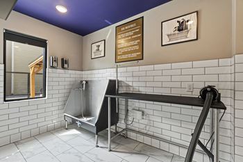 Indoor pet spa